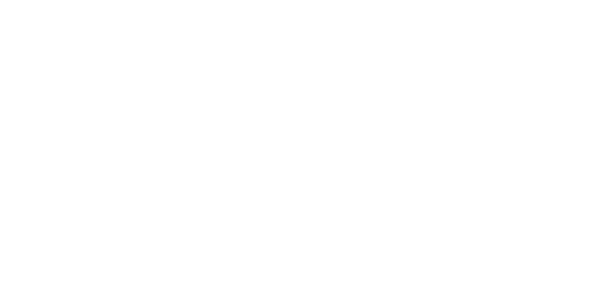 Hafsa Boutique logo